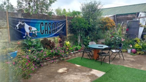 Casaca